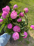 Peony + Snapdragon Bouquet!